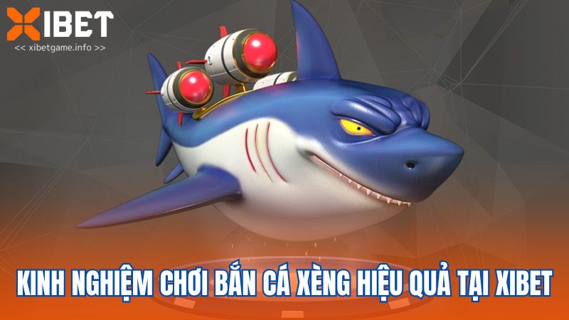 Kinh nghiệm chơi bắn cá xèng hiệu quả tại XIBET