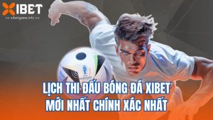 Lịch Thi Đấu Bóng Đá XIBET Mới Nhất Chính Xác Nhất