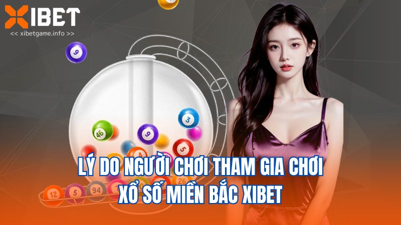 Lý do người chơi tham gia chơi xổ số miền Bắc XIBET